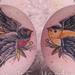 Tattoos - Traditional Birds Color on Chest - 60700